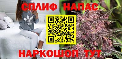 трава Будённовск
