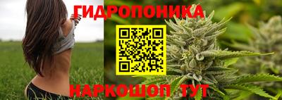 трава Будённовск