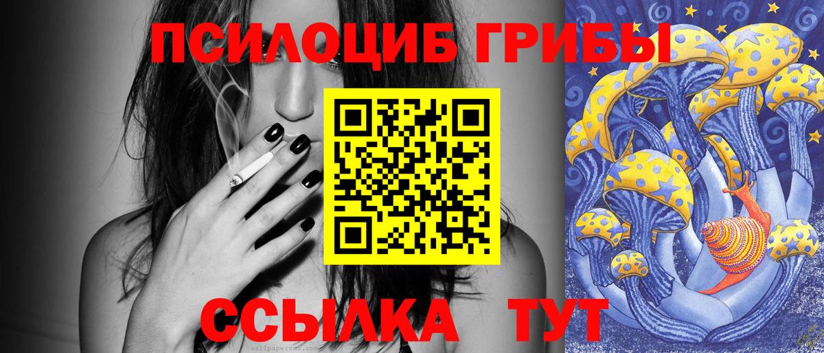 Рязань  Псилоцибиновые грибы Cubensis  Вход с VPN 