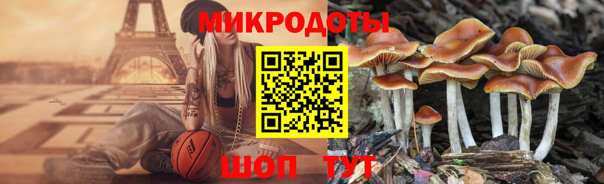 Псилоцибиновые грибы Cubensis Рязань